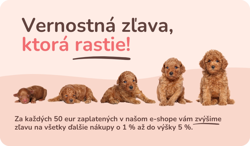 FINAL NA STRANKU 2